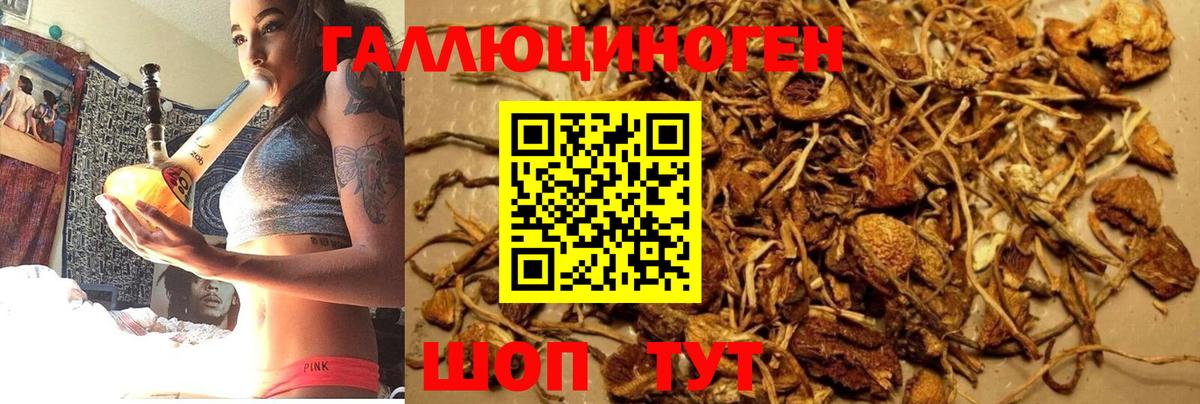 наркошоп  Вход с VPN  Петрозаводск  Псилоцибиновые грибы Magic Shrooms 
