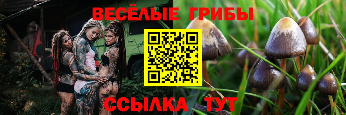 Мефедрон кристаллы  Конопля  КОКАИН  ГАШИШ  Петрозаводск  Вход с VPN 